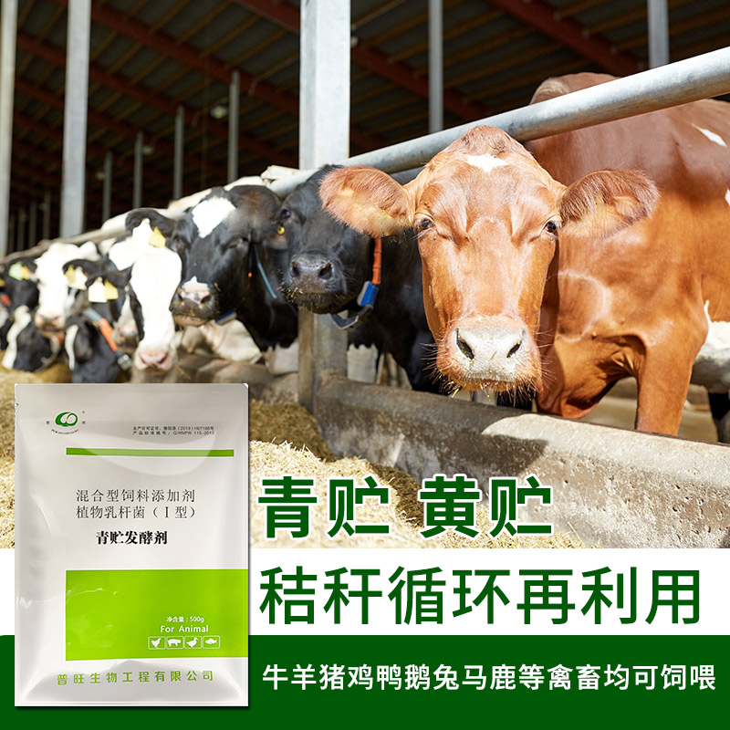 青貯發酵劑1