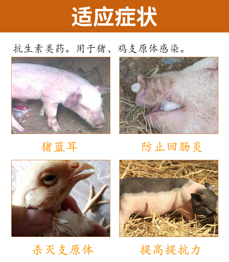 5% 酒石酸泰萬菌素 獸藥批發直銷